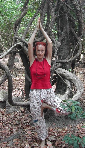 Arbre dans la forêt sacrée à Koumantou